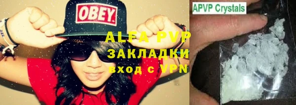 индика Лабытнанги