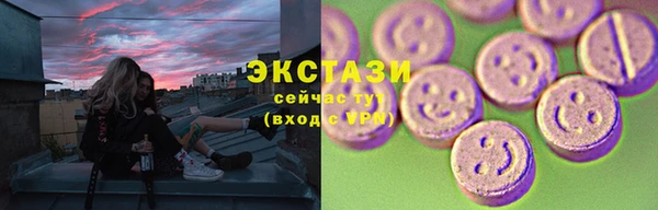 индика Лабытнанги