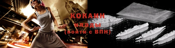 индика Лабытнанги