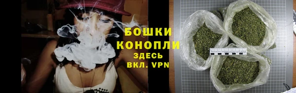 спайс Лагань