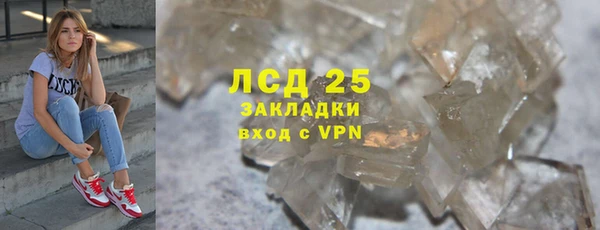 индика Лабытнанги