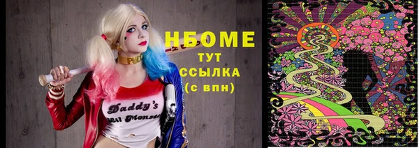 индика Лабытнанги