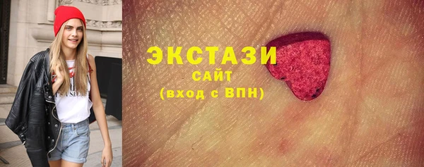 индика Лабытнанги