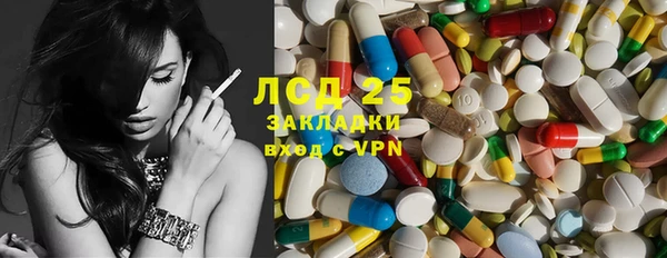 индика Лабытнанги