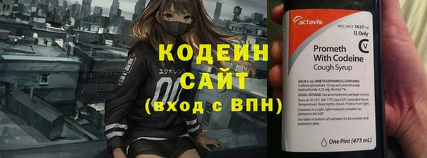 индика Лабытнанги