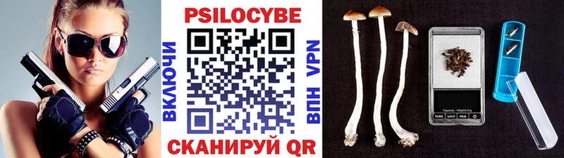 Галлюциногенные грибы прущие грибы  сайты даркнета телеграм  Медынь  kraken онион 